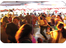 My Wedding DJ